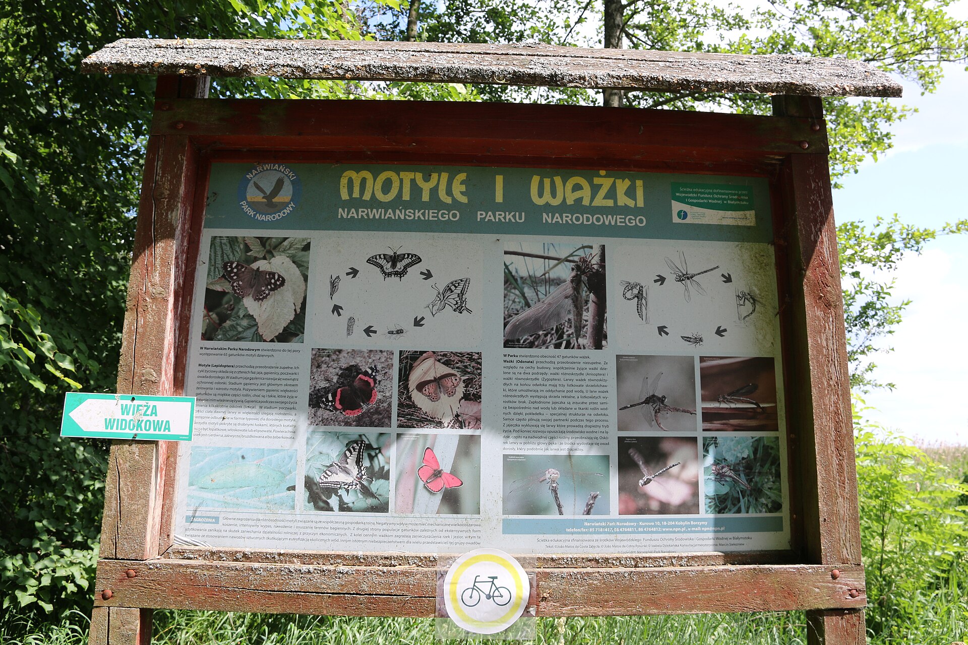 Kapliczka Chrystusa Frasobliwego w Baciutach Kolonii