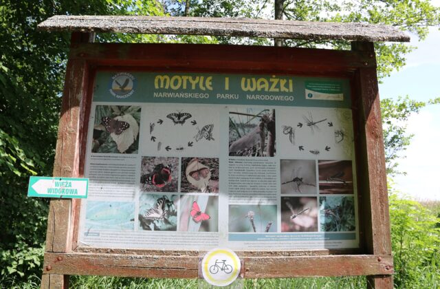 Narwiański Park Narodowy – dolina Narwi w gminie Choroszcz