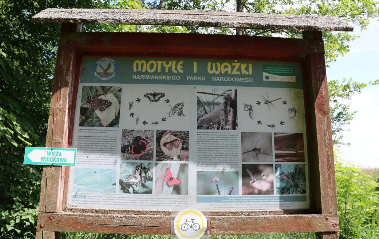 Narwiański Park Narodowy – dolina Narwi w gminie Choroszcz